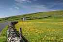 06-5022 Wild Flower Meadow and Road Teesdale